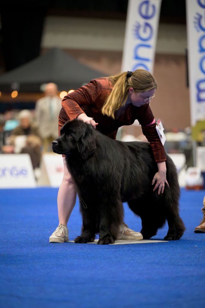 newetta's Educated man